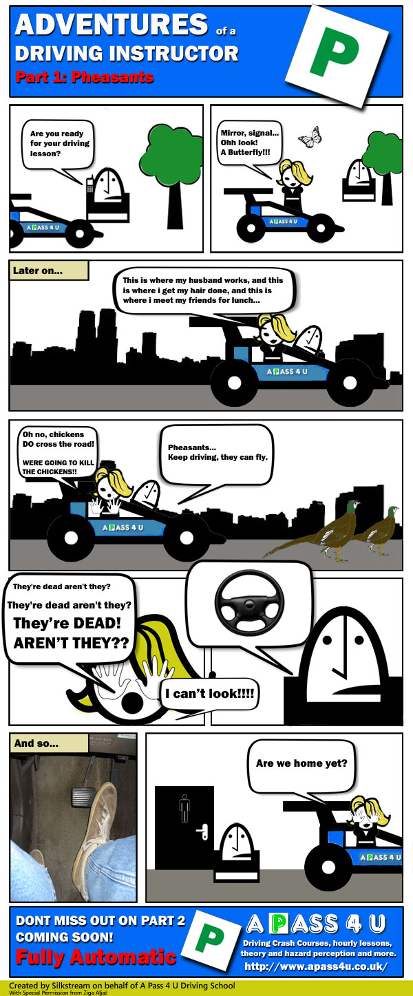 Adventures of a Driving Instructor comic strip