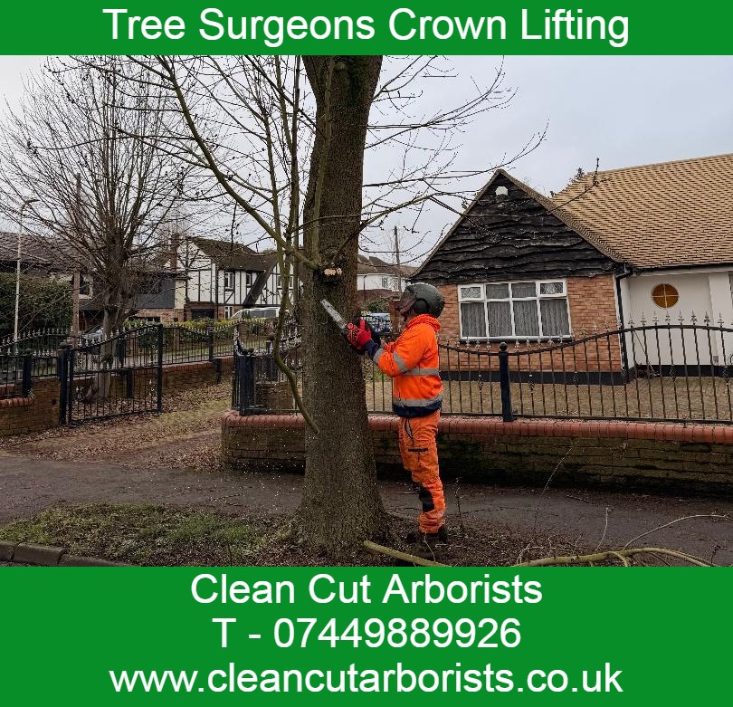 Clean Cut Arborists who are tree surgeons recently took some driver training from us and are a great bunch of lads from Southend